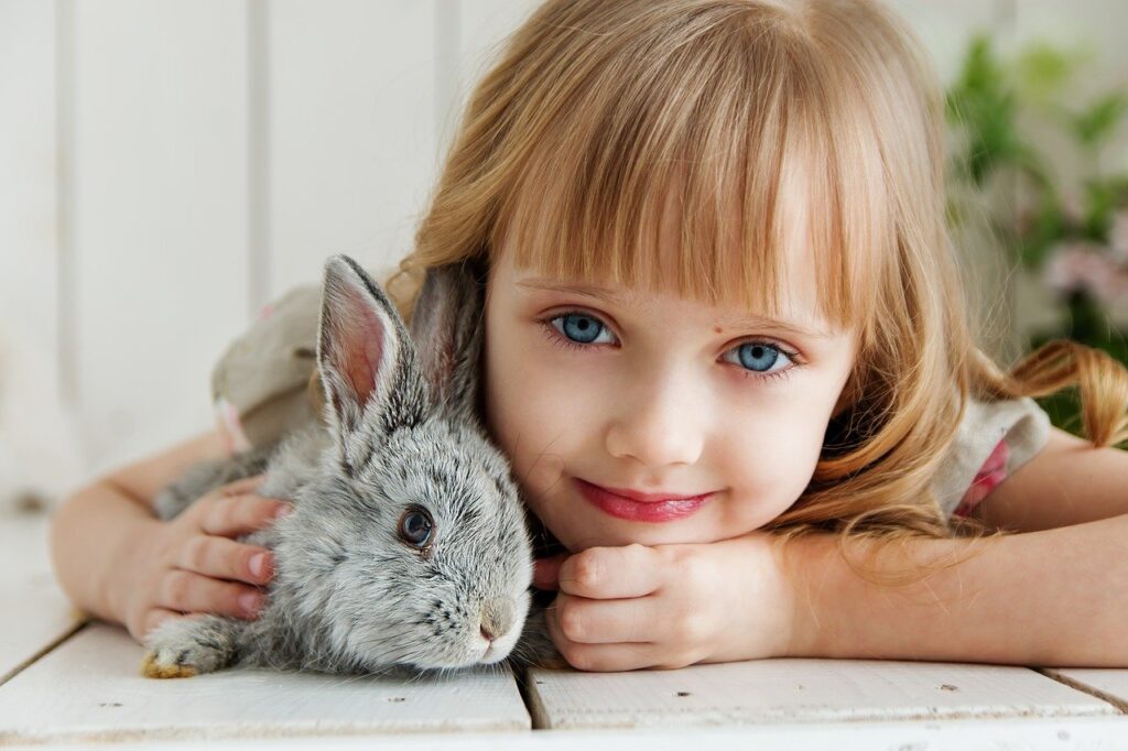 rabbit, hare, baby-3660673.jpg